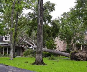 Las clases escolares fueron suspendidas y se pidió a los ciudadanos evitar conducir en las zonas afectadas debido a escombros y líneas eléctricas caídas.