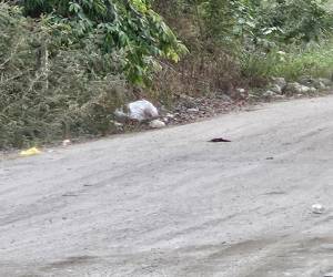 El cadáver estaba a la orilla de la calle principal.