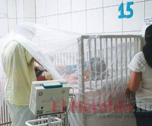 Aunque el médico reconoció que en el mismo periodo de tiempo en 2020 ya se registraban nueve muertes y actualmente no se ha reportado el fallecimiento de ninguna persona a causa de la enfermedad, el incremento de contagios genera preocupación. Foto: Archivo/ EL HERALDO