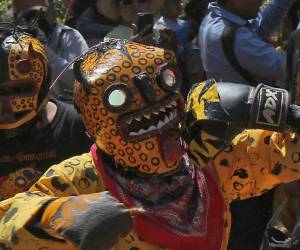 En las comunidades indígenas del sur de México, la llegada de las lluvias no solo depende del clima, sino también de una tradición ancestral que mezcla fe, cosmovisión y sacrificio: la pelea de jaguares, un ritual que cada año reúne a pobladores para pedir buenas cosechas.
