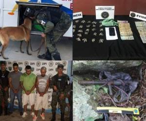 El operativo denominado 'Odiseo X' se realizó desde tempranas horas de este martes 22 de octubre a nivel nacional y dejó como resultado varias personas detenidas e investigaciones abiertas. Fotos: @Ministerio Público