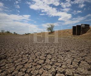 Más de 200 fincas de camarón permanecen cerradas en la zona sur de Honduras tras cortar relaciones con Taiwán. Muchas están a punto de desaparecer por completo si el Gobierno actual no interviene. La crisis se agrava a medida que pasa el tiempo y no reciben una respuesta.