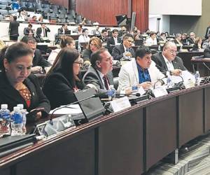 Los diputados sesionarán hoy teniendo como punto de agenda la conformación de la Comisión de Dictamen para elegir la CSJ