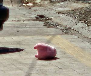 La aparición de peluches con forma de cerdito color rosa en al menos cuatro escenas de homicidios registrados recientemente en Culiacán, Sinaloa, ha generado alarma entre autoridades y reactivado el interés en el caso del feminicidio de la creadora de contenido Valeria Márquez, ocurrido en Zapopan, Jalisco, en México, durante una transmisión en vivo