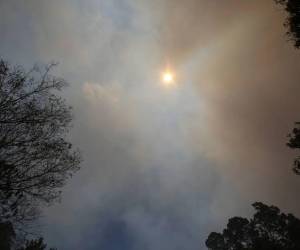 De acuerdo con los análisis de los modelos meteorológicos, en julio y agosto se puede agudizar el fenómeno del Niño y será muy severo en la mayor parte del territorio nacional.