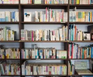 Voluntarios unieron esfuerzos para hacer posible el proyecto. Foto: Pixabay