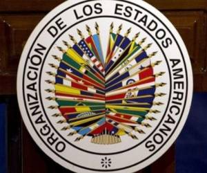 La OEA dijo que es conveniente que la polarización política que sufre el país la resuelva el pueblo en las urnas. Foto: AP.