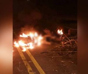 El perro había sido atropellado horas antes.