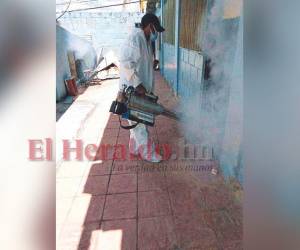 Los técnicos de la Región de Salud de Choluteca comenzaron esta semana fumigaciones en los municipios más afectados por dengue.