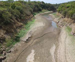 La preocupación por la crisis de agua en la capital continúa aumentando. EL HERALDO realizó un recorrido por la represa Los Laureles y constató el crítico panorama que enfrenta uno de los embalses que abastece al Distrito Central.