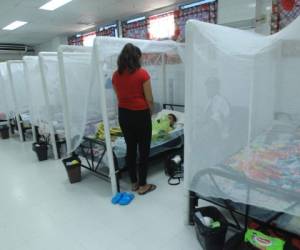 Los menores son las principales víctimas del virus del dengue. Foto: El Heraldo Honduras.