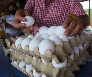 Los productores de huevos aseguran que el alza del huevo se deriva del encarecimiento de los alimentos e insumos importados.