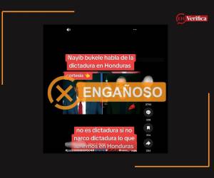 Captura de pantalla a una publicación de TikTok hecha el 26 de agosto de 2026.