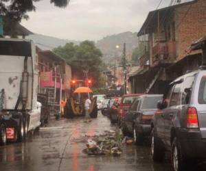 Árboles caídos, basura y daños en viviendas reportaron los capitalios luego de las fuertes lluvias que se registraron el fin de semana.