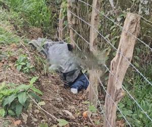 El cadáver del joven estaba tirado a un lado del camino, junto a una cerca.