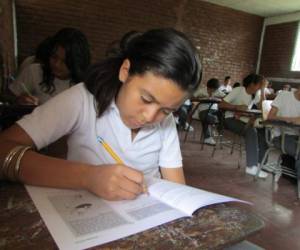 Las pruebas censales serán aplicadas a final de año por la Secretaría de Educación de Honduras.