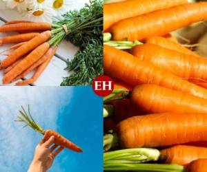 La zanahoria mejora nuestra vista y la salud de nuestra piel, pero además su composición rica en vitaminas y minerales aporta otros beneficios para nuestro organismo que a lo mejor no conocías y aquí te detallamos. Fotos Pixabay.