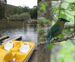 Cada año, el Parque Aurora se convierte en uno de los destinos favoritos para disfrutar en familia durante la Semana Santa 2026, ofreciendo un espacio de recreación familiar y ambiente con la naturaleza