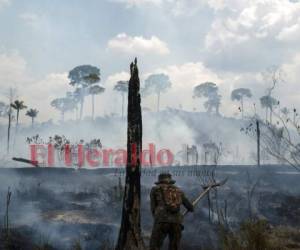 Un soldado brasileño apaga un incendio en la región de Nova Fronteira, en Novo Progresso, Brasil, el martes 3 de septiembre de 2019. Foto: Agencia AP/Leo Correa.