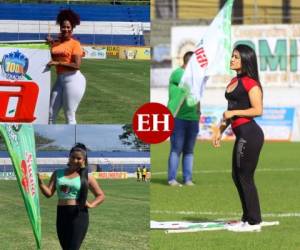 Las guapas jóvenes estuvieron presentes en los diferentes estadios que albergaron los juegos disputados este domingo en la primera fecha del Torneo Clausura de la Liga Nacional de Honduras. Fotos EL HERALDO