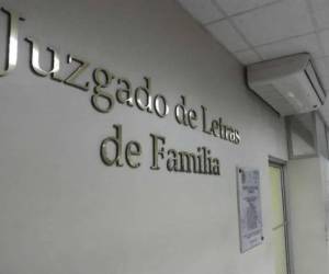 Registro de Deudores Alimentarios Morosos (Redam) aumentó las inscripciones.