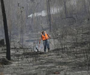 La ausencia de lluvias en Honduras preocupa a ganaderos, agricultores y a la población en general, debido a las afectaciones que ya se manifiestan en la falta de disponibilidad de agua para el consumo animal.