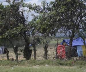 Miles de manzanas de tierra son invadidas por grupos criminales para robar y cometer actos ilicitos.