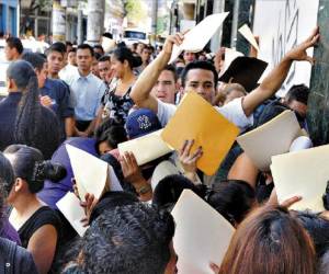 Ambos organismos destacaron que si bien se mantuvo el deterioro de algunos indicadores laborales