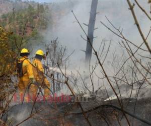 Francisco Morazán y Olancho, ubicados en el centro y nororiente, son dos de los departamentos que más incendios forestales registran. Foto: EL HERALDO.