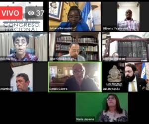 Esta ley contó con el respaldo de toda la bancada del Partido Nacional, Partido Liberal, instituciones minoritarias y un voto del Partido Innovación y Unidad (Pinu).