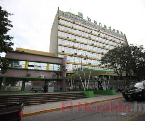 Con seguro agrícola podrán contar los créditos otorgados por esta Agencia.