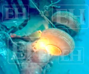 Los restos de la avioneta que se accidentó el pasado 17 de marzo de 2025 permanecen a unos 65 metros bajo las profundas aguas del mar Caribe, en Roatán, Islas de la Bahía, Honduras. En exclusiva, las fotos.