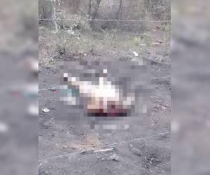 En una de las calles del cementerio fue encontrado el cuerpo de la mujer.