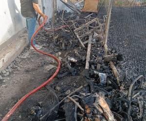 Un incendio provocado por manos desconocidas causó daños materiales en las instalaciones del Centro de Emergencias y Coordinación de Operaciones (CECOP) del 911 en Choluteca.