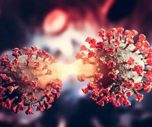 Centaurus comenzó a propagarse en la India y actualmente está presente en al menos 10 países. De acuerdo a los expertos de la OMS la velocidad de la transmisión es cinco veces más contagiosa de ómicron.