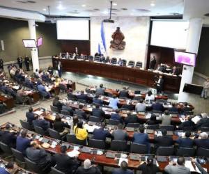 El pleno del Congreso Nacional trabajará duro para resarcir el tiempo perdido durante tres meses.