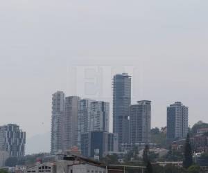 La calidad del aire en Tegucigalpa varió luego de una mejora significativa ayer lunes, con niveles de categoría moderada, el mediodia de este martes está como perjudicial para grupos vulnerables, de acuerdo con mediciones de plataformas internacionales.