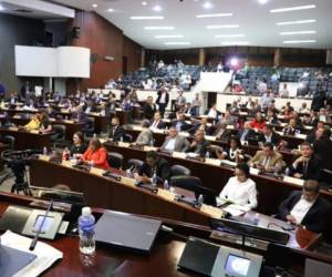 El Congreso Nacional analiza ampliar la vacatio legis del nuevo Código Penal.