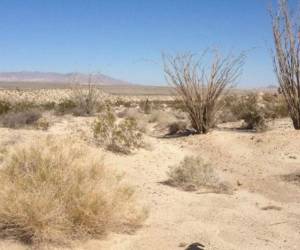 Los menores, una niña de 7 años y niños de 6 y 5 años, no necesitaron tratamiento médico el miércoles tras ser rescatados.