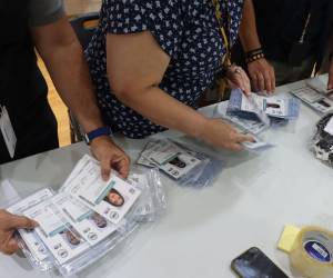 Un total 32,605 credenciales serán para observadores nacionales.