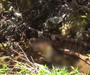 El Cuerpo de Bomberos rescató el cuerpo del menor en la quebrada El Zancudo y lo entregó a las autoridades forenses.