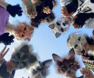 Entre los conceptos más utilizados destacan los términos teriotipo, otherkin y shifting, que permiten comprender cómo se perciben a sí mismos sus integrantes.