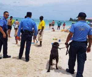 Los cigarrillos estaban enterrados en la playa.