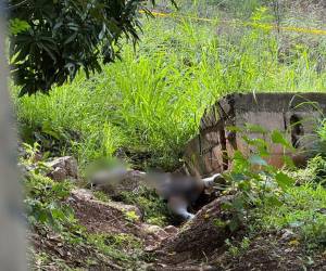 Un joven fue encontrado muerto en un sector de la colonia Los Pinos, en Tegucigalpa.