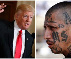 'Las ciudades santuario precisan ayudarnos. Son un peligro para la seguridad pública y para los agentes migratorios', reclamó el director interino del Servicio de Inmigración y Control de Aduanas, Thomas Homan.