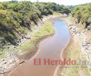 La represa Los Laureles se encuentra a 40 por ciento de su nivel, es decir que tiene 4.2 millones de metros cúbicos. Foto: Marvin Salgado/El Heraldo