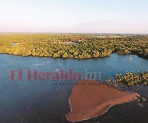 El proyecto incluye restauración del bosque de manglar y sumersión de arrecifes artificiales en zonas afectadas del Golfo de Fonseca.
