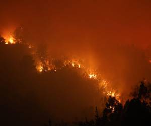 El último balance de la Corporación Nacional Forestal (Conaf) en la región del Biobío, registran hasta 18.000 hectáreas calcinadas en la zona.
