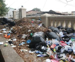 El antiguo parque La Concordia, que antiguamente honraba el arte y la naturaleza, registra un panorama de olvido, basura e inseguridad.