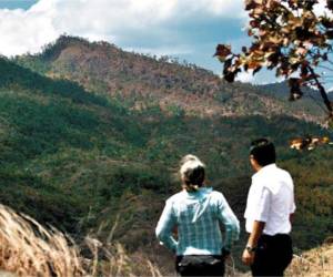 Vista del terreno que había sido otorgado al exdirector del INA, César Ham.